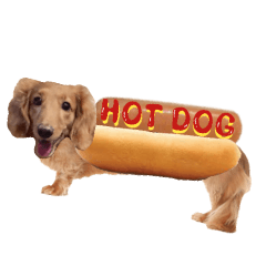 stickers of HOT DOG!