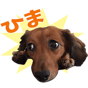 MsamaFamily' Sticker