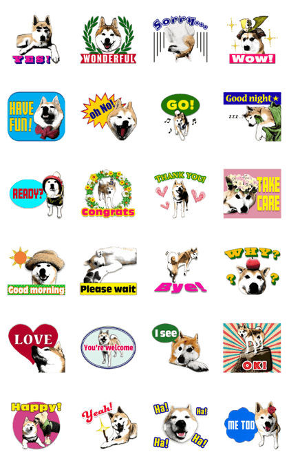 Rao is a Japanese dog.