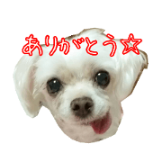 We Love Maki!