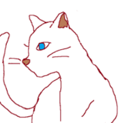 my cat stickers