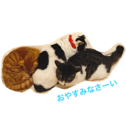 3nyann