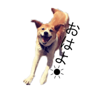 RUIKYUN