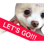 wakky3