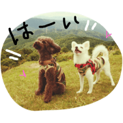 mikan&komugi4