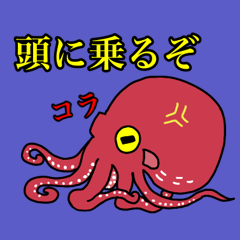 Mr octopus
