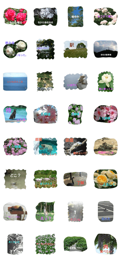 Stamps for husband,flowers and animals