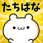 To Tachibana.