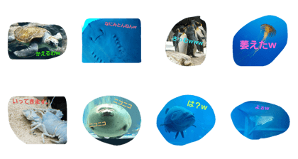 Guys of the sea w
