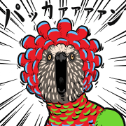 Troublesome Parrot All Star