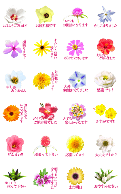 KiKi's Flower garden 3