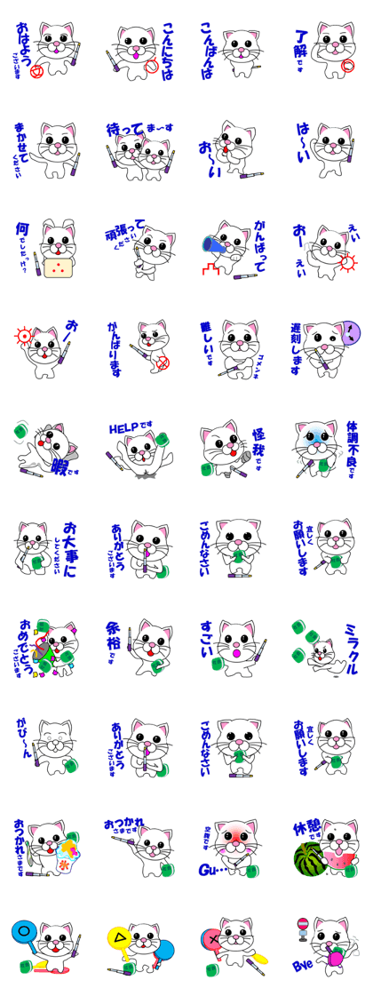 A social studies teacher of white cat
