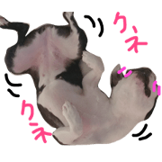 My love Koume
