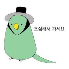 Korean speaking animals