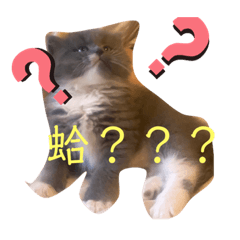可愛の嘟嘟第二彈