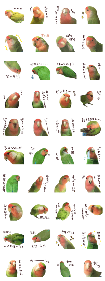 love bird Sticker2