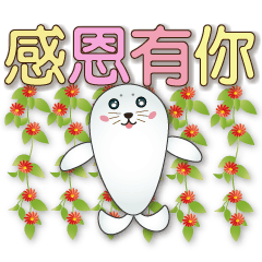 Cute seals-Sincere greetings