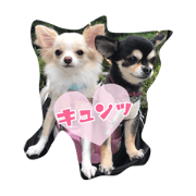 Daily sticker to use.