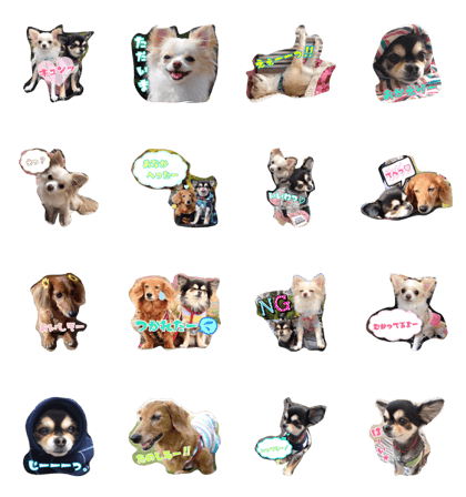 Daily sticker to use.