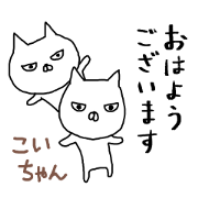 Koichan cat