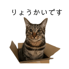 mizuki_20210719193611