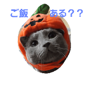 TAKUKOMA