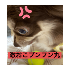 miyuu_20210719201658