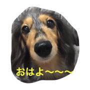DDBstamp