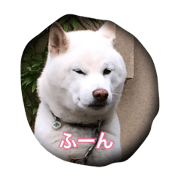 oshinba2