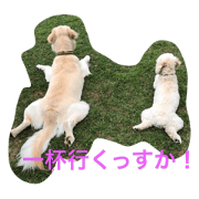 Mofumofu no hitorigoto