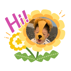 吊貼圖