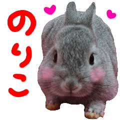 rabbit love noriko sticker