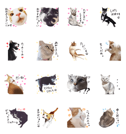 Morizono friends3