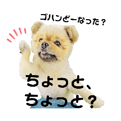 Chie_20210720063027
