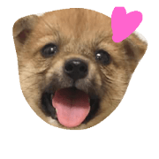 Himaru
