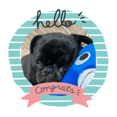 kaito_20210720075232