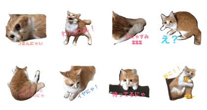 One word stamps