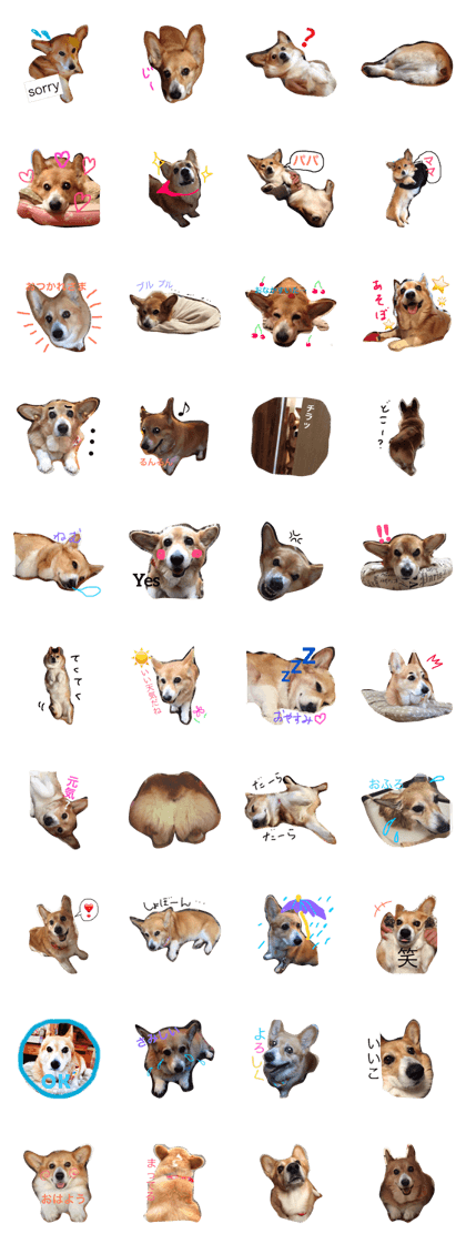 totochan1017