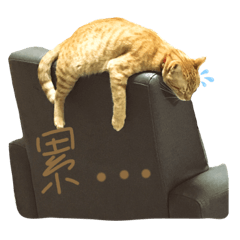 臭橘子（ㄍㄚˊㄇㄚˋ）