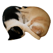 maru*kon