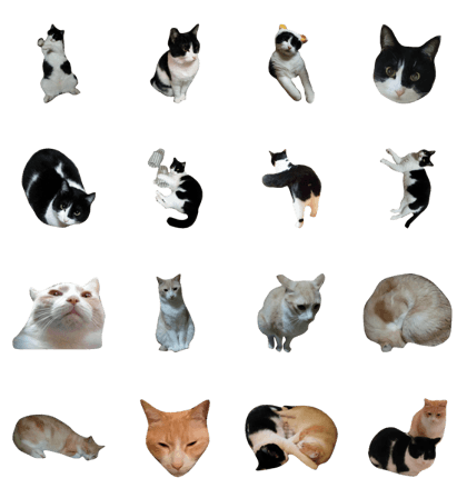 maru*kon