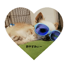 KAZUKI_20210719213939