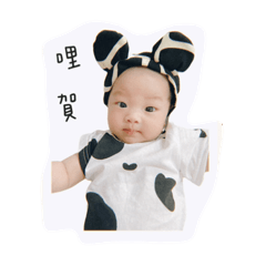 七仔1