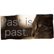 past is past