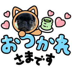 kaito_20210720132158