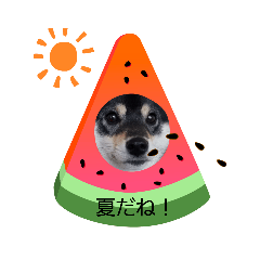 りんたん2021　夏