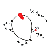 Bird's Holiday