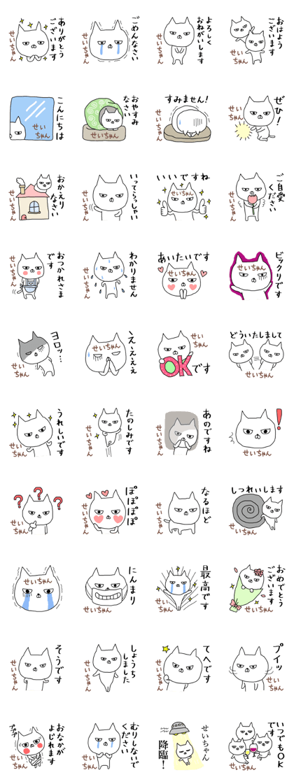 Seichan cat