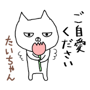 Taichan cat 2xxxx