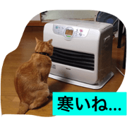 speaking cat myu